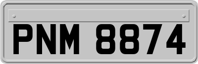 PNM8874
