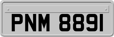 PNM8891