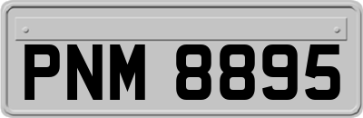 PNM8895