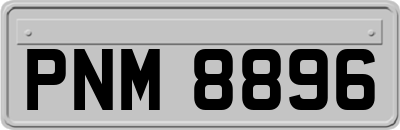 PNM8896