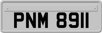 PNM8911