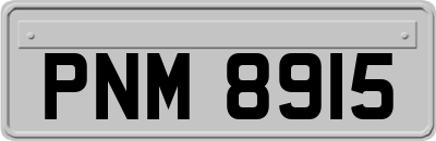 PNM8915