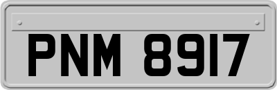 PNM8917