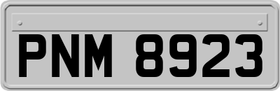 PNM8923