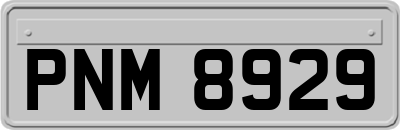 PNM8929