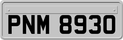 PNM8930