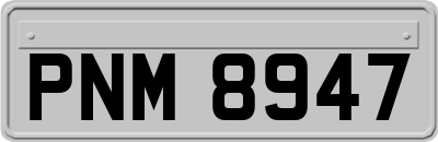 PNM8947