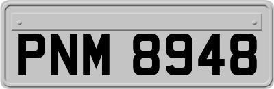 PNM8948