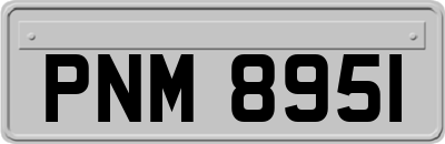 PNM8951