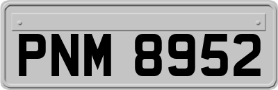 PNM8952