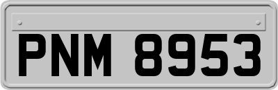 PNM8953