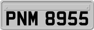 PNM8955
