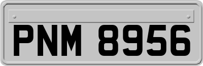 PNM8956