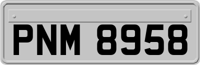 PNM8958