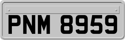 PNM8959