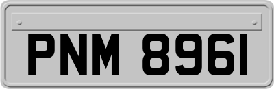 PNM8961