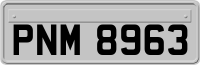 PNM8963