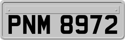 PNM8972