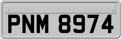 PNM8974
