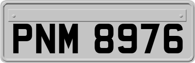 PNM8976