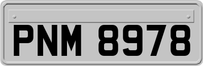 PNM8978
