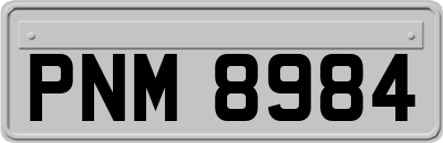 PNM8984