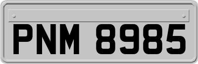 PNM8985