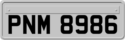 PNM8986