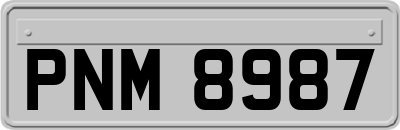 PNM8987