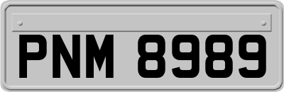 PNM8989