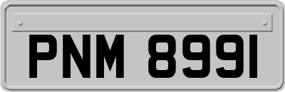 PNM8991