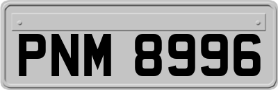 PNM8996