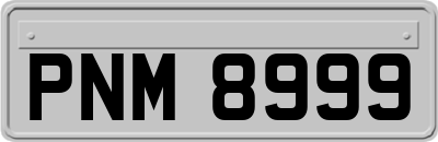 PNM8999