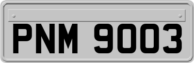 PNM9003