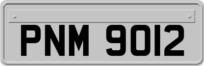 PNM9012