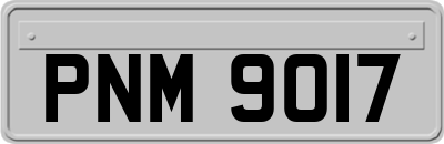 PNM9017
