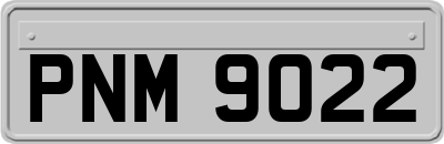 PNM9022