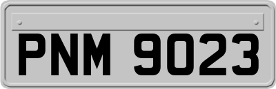 PNM9023