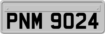 PNM9024