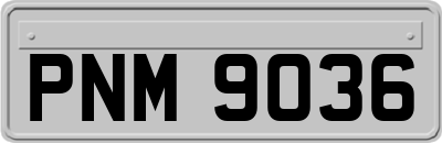 PNM9036