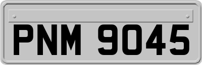 PNM9045