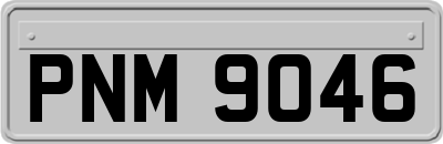 PNM9046