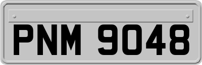 PNM9048