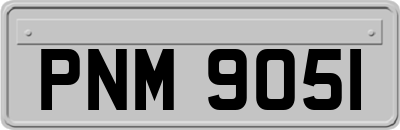 PNM9051