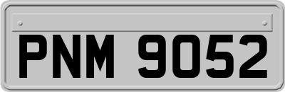 PNM9052