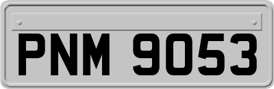 PNM9053