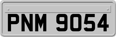 PNM9054