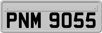 PNM9055