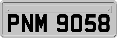 PNM9058