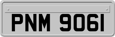 PNM9061